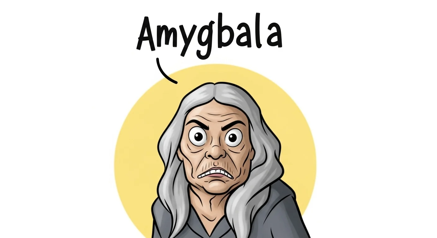 Amygdala and Decision Making