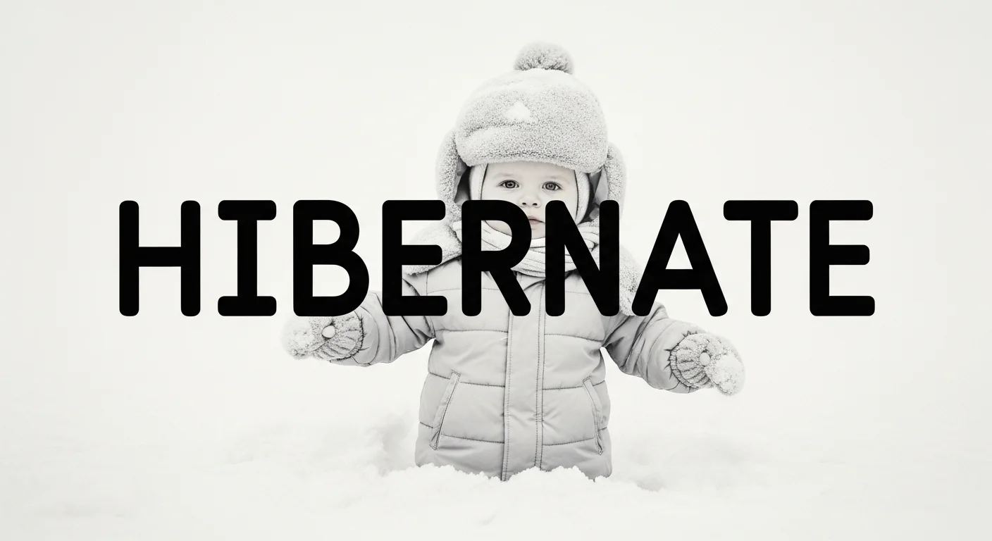 What Does Hibernate Mean