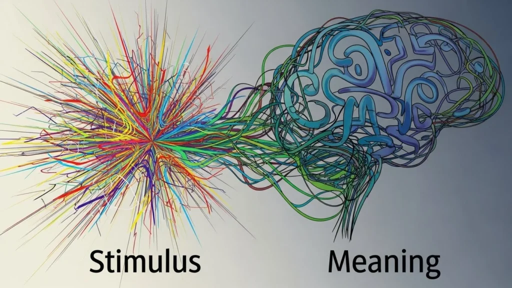 stimulus meaning