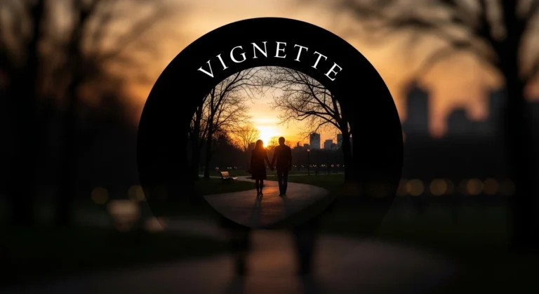 vignette meaning